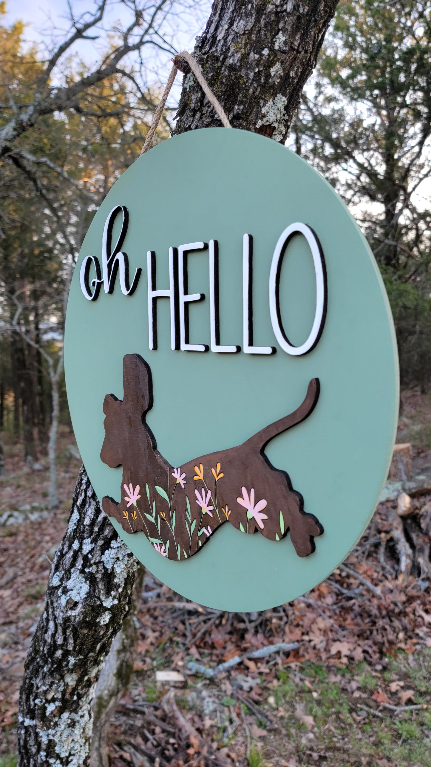 Daschund Jumpin' for Joy
