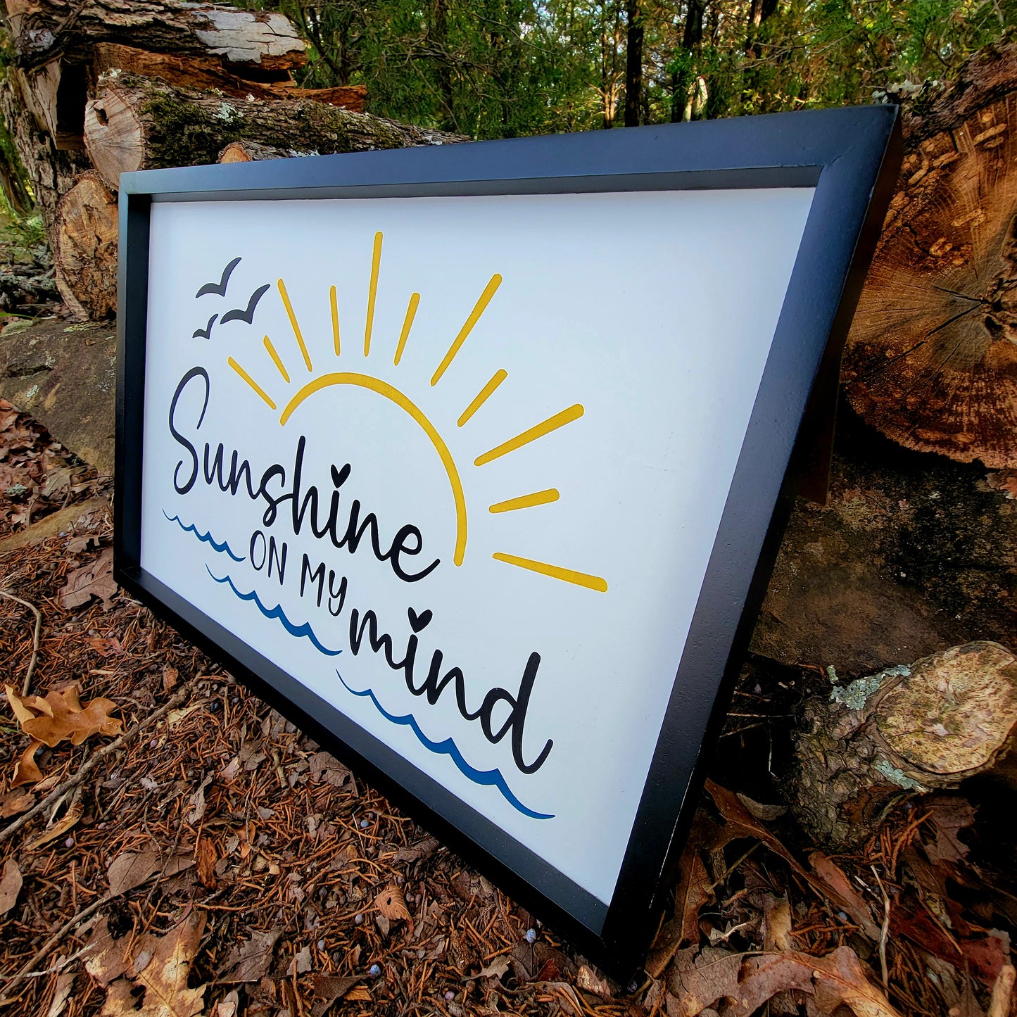 Sunshine on My Mind