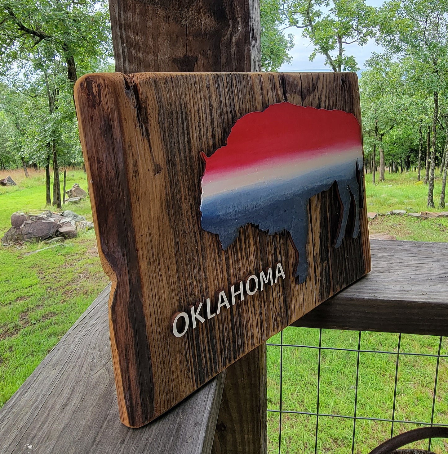 Bison in Ombre