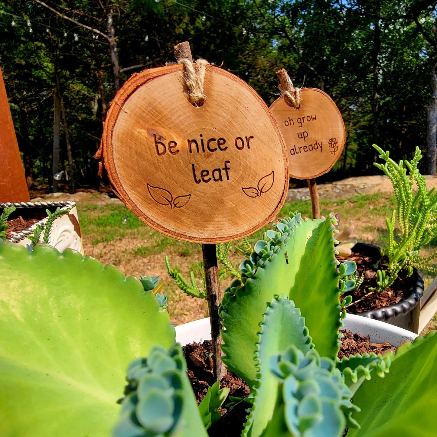 Garden & Plant Stakes