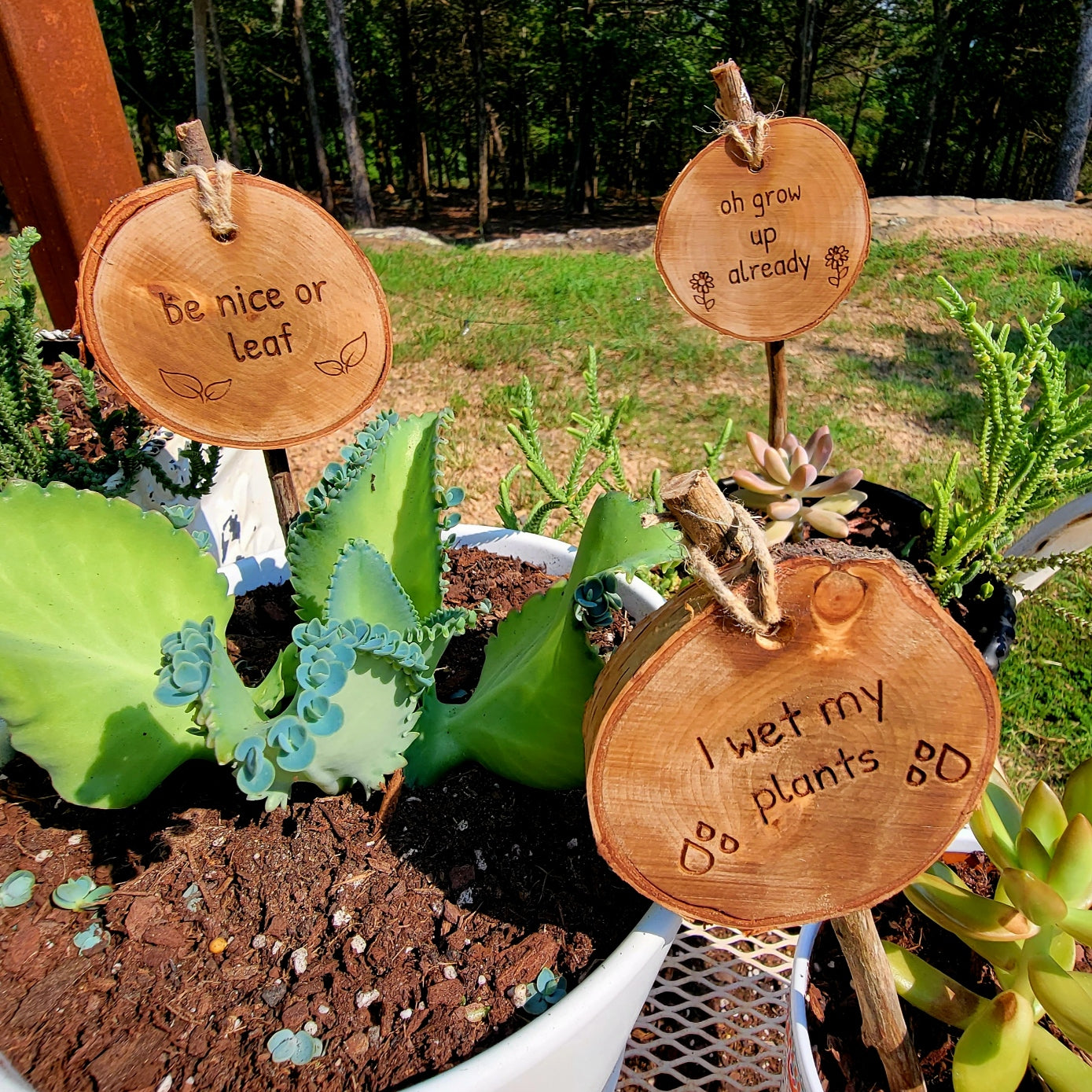 Garden & Plant Stakes