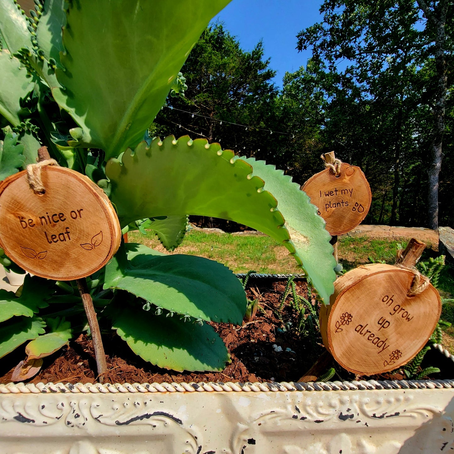 Garden & Plant Stakes