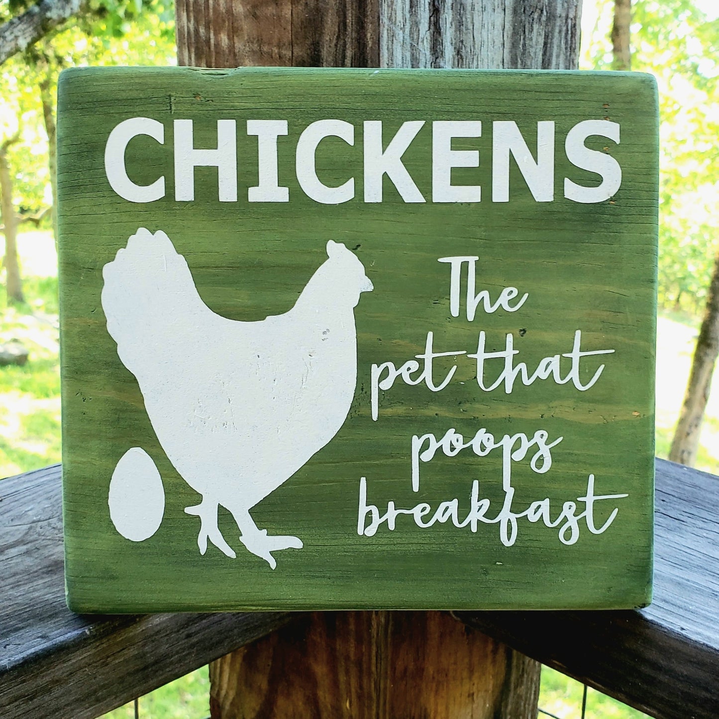 Chickens - The Pet that Poops Breakfast